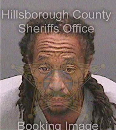 Mcdonald Davin - Hillsborough County, FL 