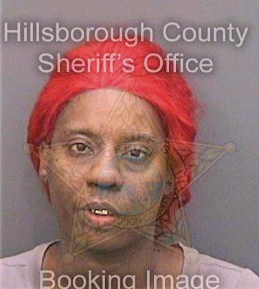 Mcclennan Tomeka - Hillsborough County, FL 