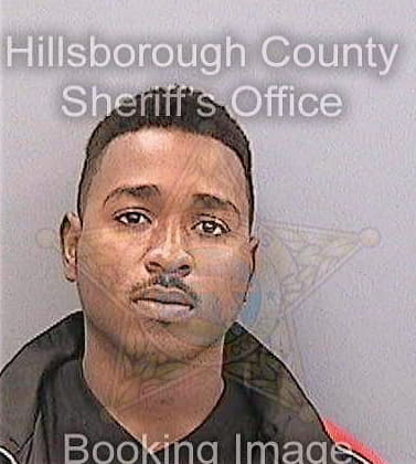 Hamilton Xavier - Hillsborough County, FL 