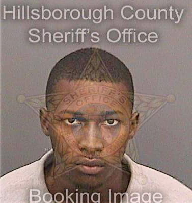 Sampson Kelvin - Hillsborough County, FL 