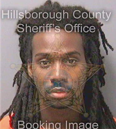 Outlaw Michael - Hillsborough County, FL 