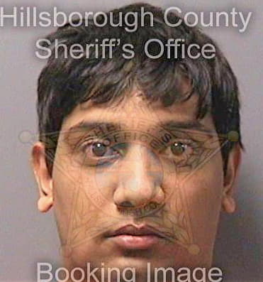 Patel Milan - Hillsborough County, FL 