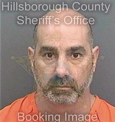 Gomez Scott - Hillsborough County, FL 