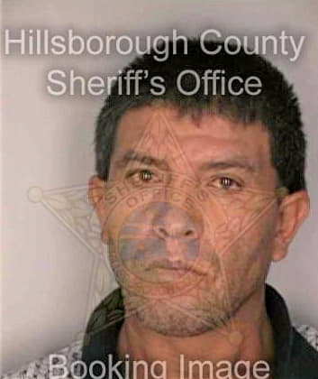 Vargas Elisco - Hillsborough County, FL 