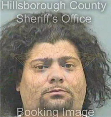 Melendez Javier - Hillsborough County, FL 