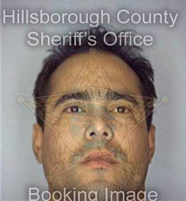 Deleon Eliv - Hillsborough County, FL 