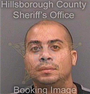 Delacruzrodriguez Erik - Hillsborough County, FL 