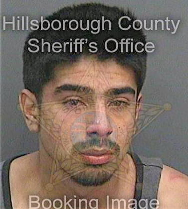 Buitrago Daniel - Hillsborough County, FL 