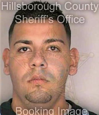 Ramirezsaavedra Carlos - Hillsborough County, FL 