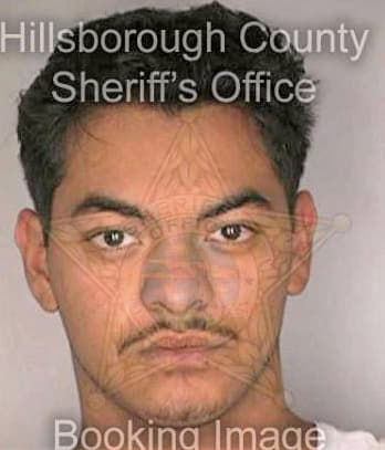 Mendoza Rigoberto - Hillsborough County, FL 
