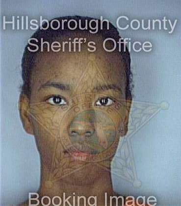 Simmons Tamaka - Hillsborough County, FL 