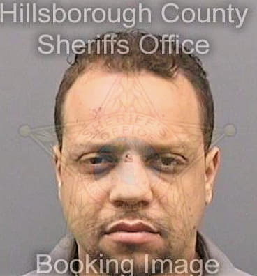 Batista Michael - Hillsborough County, FL 