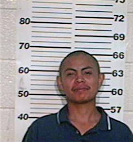 Hernandez Jesus - Hidalgo County, TX 