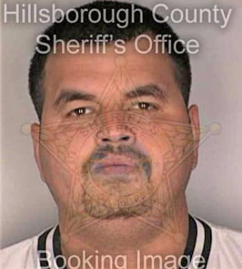 Hernandez Pedro - Hillsborough County, FL 