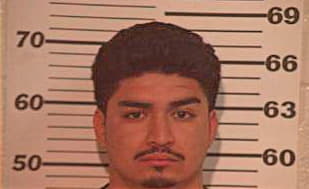 Sandoval Antonio - Hidalgo County, TX 