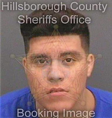 Benitez Heriberto - Hillsborough County, FL 