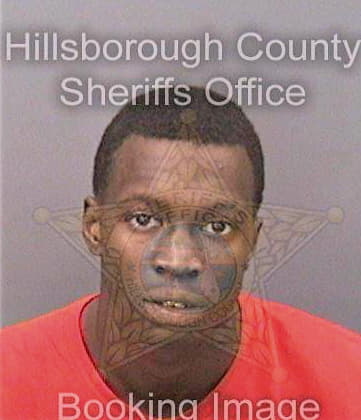 Ellis Matthew - Hillsborough County, FL 