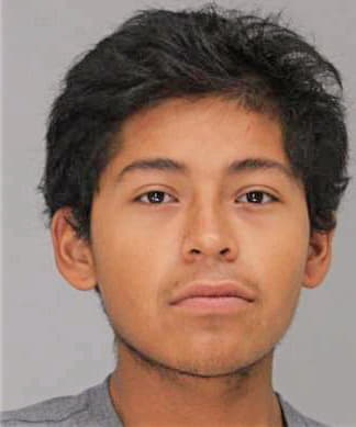 Hernandez Brucelee - Dallas County, TX 