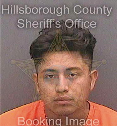 Martinramirez Leonidas - Hillsborough County, FL 