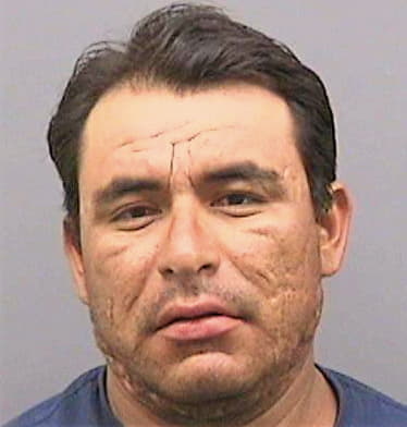 Trejo Placido - Hillsborough County, FL 