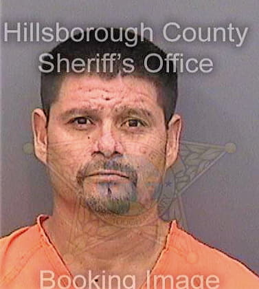 Guillen Jesus - Hillsborough County, FL 