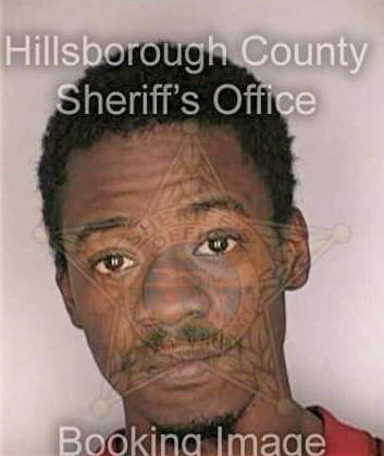 Bowman Robert - Hillsborough County, FL 