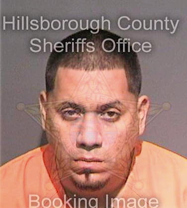 Sarchi Andres - Hillsborough County, FL 