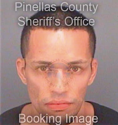 Lopez Danny - Pinellas County, FL 