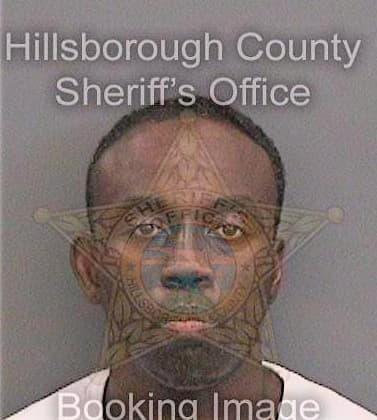 Wallace Derrek - Hillsborough County, FL 