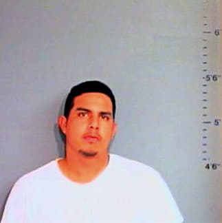 Hernandez Eric - Brazos County, TX 