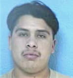 Mijares Hector - Dawson County, GA 