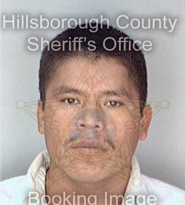 Soto Ricardo - Hillsborough County, FL 