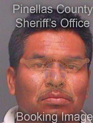 Jimenez Cirilo - Pinellas County, FL 