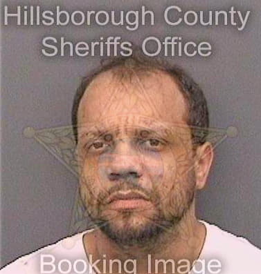 Batista Michael - Hillsborough County, FL 