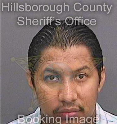 Lugofederico Hugo - Hillsborough County, FL 