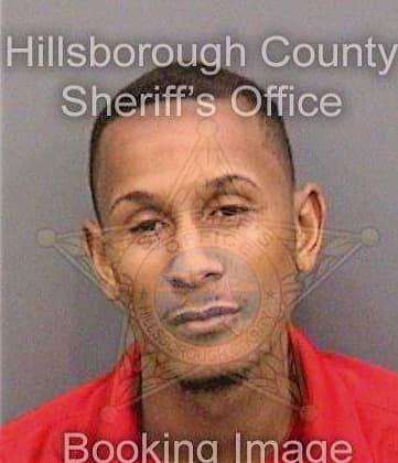 Stokes Michael - Hillsborough County, FL 