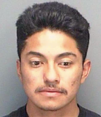 Gonzalez Marco - Pinellas County, FL 