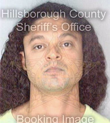 Ortiz David - Hillsborough County, FL 