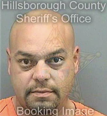 Gonzalez Jose - Hillsborough County, FL 