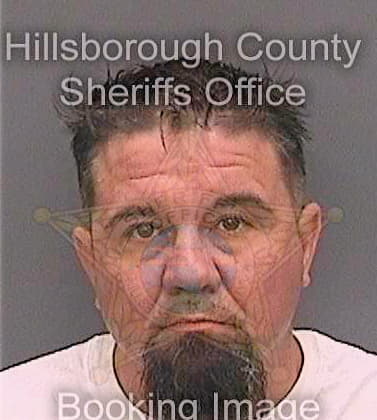 Stearns Michael - Hillsborough County, FL 