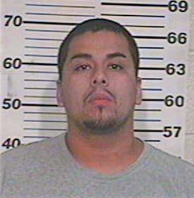 Hernandez Reynaldo - Hidalgo County, TX 