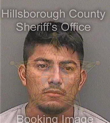 Ramirezbarrios David - Hillsborough County, FL 