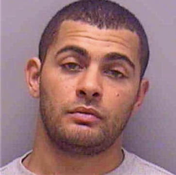 Stinnett Michael - Lee County, FL 