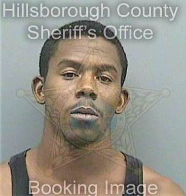 Smith Dennis - Hillsborough County, FL 