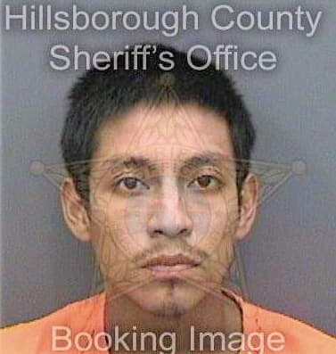 Navarroperez Jose - Hillsborough County, FL 