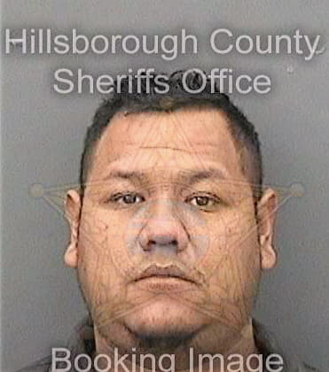 Velazquezcortes Jose - Hillsborough County, FL 