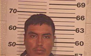 Ortiz Julio - Hidalgo County, TX 