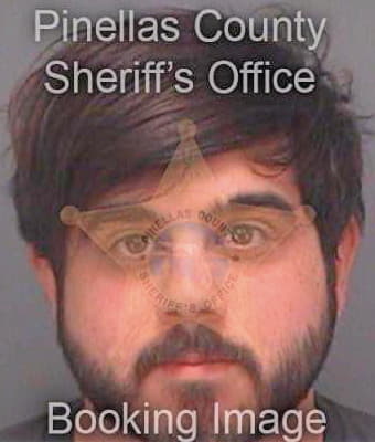 Mazzella Michael - Pinellas County, FL 