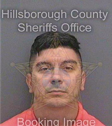 Guevara Steven - Hillsborough County, FL 