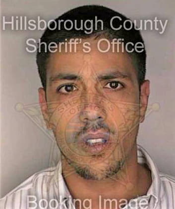 Gonzalez Roy - Hillsborough County, FL 